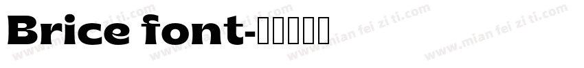 Brice font字体转换